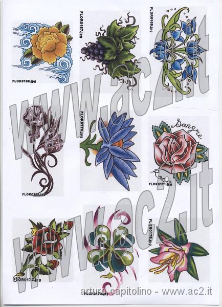 Fiori colorati 061.jpg